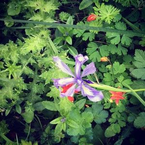 Meet your Posher, Maureen